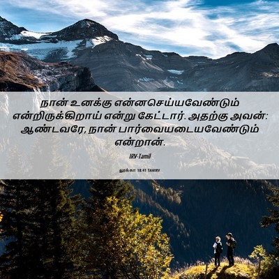 Picture 06 - லூக்கா 18:41 TAMIRV - நான் உனக்கு - Bible Verse Picture
