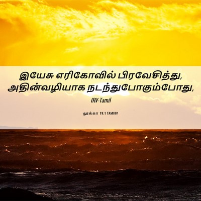 Picture 06 - லூக்கா 19:1 TAMIRV - இயேசு எரிகோவில் - Bible Verse Picture