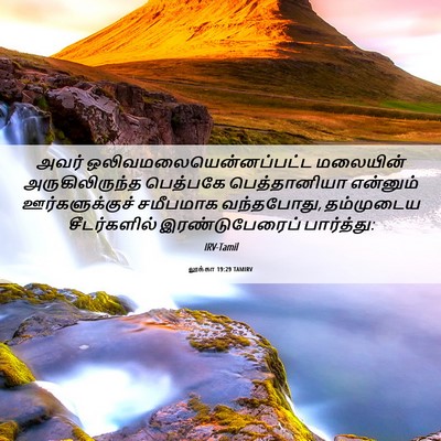Picture 06 - லூக்கா 19:29 TAMIRV - அவர் - Bible Verse Picture