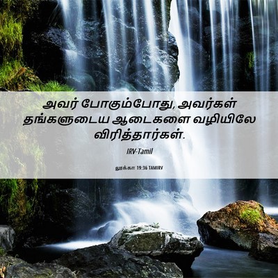 Picture 06 - லூக்கா 19:36 TAMIRV - அவர் போகும்போது, - Bible Verse Picture