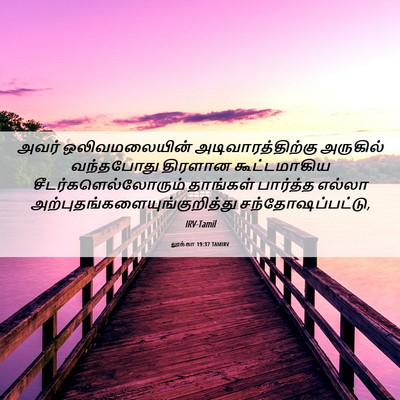 Picture 06 - லூக்கா 19:37 TAMIRV - அவர் ஒலிவமலையின் - Bible Verse Picture
