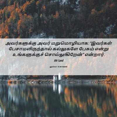 Picture 06 - லூக்கா 19:40 TAMIRV - அவர்களுக்கு அவர் - Bible Verse Picture