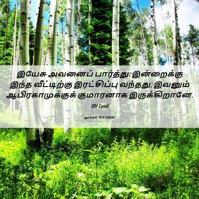 Picture 06 - லூக்கா 19:9 TAMIRV - இயேசு அவனைப் - Bible Verse Picture