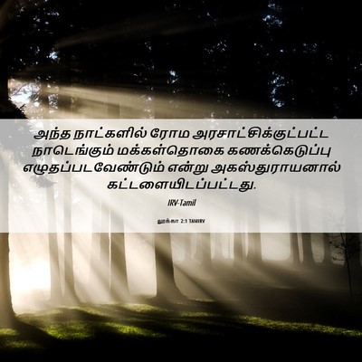 Picture 06 - லூக்கா 2:1 TAMIRV - அந்த நாட்களில் - Bible Verse Picture