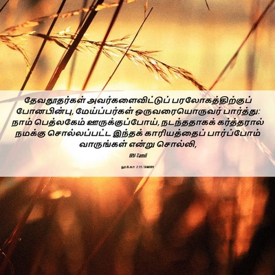 Picture 06 - லூக்கா 2:15 TAMIRV - தேவதூதர்கள் - Bible Verse Picture