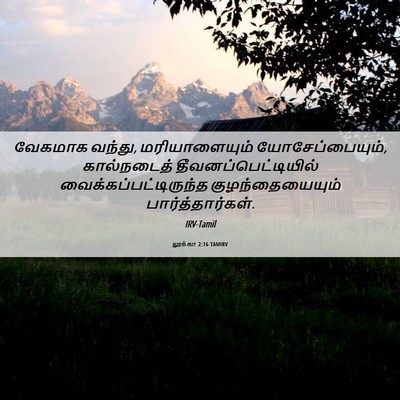 Picture 06 - லூக்கா 2:16 TAMIRV - வேகமாக வந்து, - Bible Verse Picture