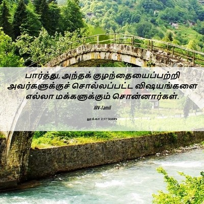 Picture 06 - லூக்கா 2:17 TAMIRV - பார்த்து, அந்தக் - Bible Verse Picture