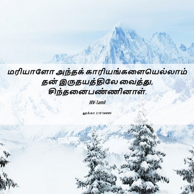 Picture 06 - லூக்கா 2:19 TAMIRV - மரியாளோ அந்தக் - Bible Verse Picture