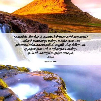 Picture 06 - லூக்கா 2:23 TAMIRV - முதலில் பிறக்கும் - Bible Verse Picture