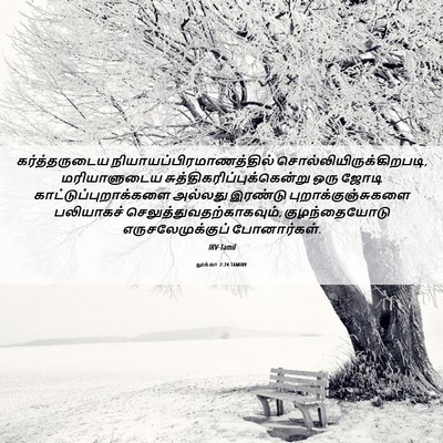 Picture 06 - லூக்கா 2:24 TAMIRV - கர்த்தருடைய - Bible Verse Picture
