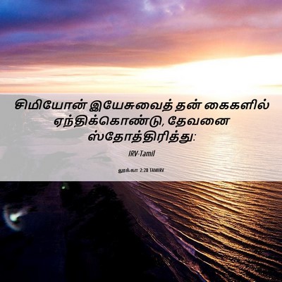 Picture 06 - லூக்கா 2:28 TAMIRV - சிமியோன் - Bible Verse Picture