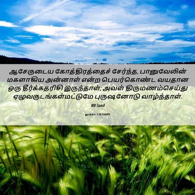 Picture 06 - லூக்கா 2:36 TAMIRV - ஆசேருடைய - Bible Verse Picture