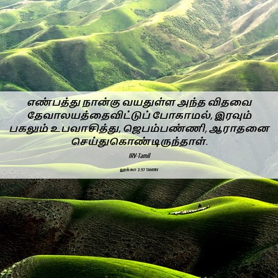 Picture 06 - லூக்கா 2:37 TAMIRV - எண்பத்து நான்கு - Bible Verse Picture