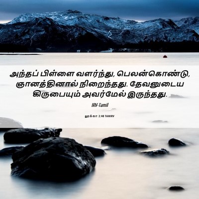 Picture 06 - லூக்கா 2:40 TAMIRV - அந்தப் பிள்ளை - Bible Verse Picture