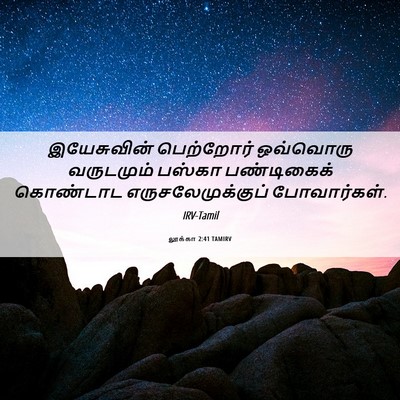 Picture 06 - லூக்கா 2:41 TAMIRV - இயேசுவின் - Bible Verse Picture