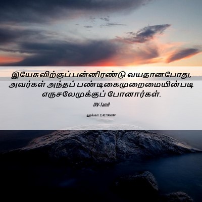 Picture 06 - லூக்கா 2:42 TAMIRV - இயேசுவிற்குப் - Bible Verse Picture