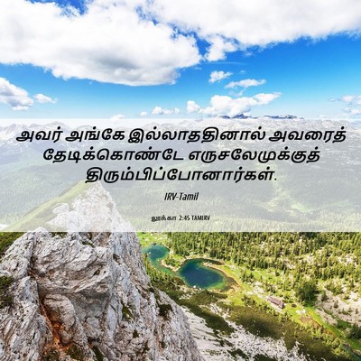Picture 06 - லூக்கா 2:45 TAMIRV - அவர் அங்கே - Bible Verse Picture
