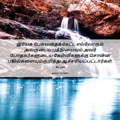 Picture 06 - லூக்கா 2:47 TAMIRV - இயேசு - Bible Verse Picture
