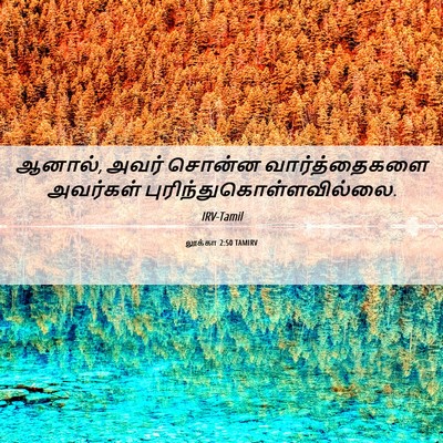 Picture 06 - லூக்கா 2:50 TAMIRV - ஆனால், அவர் சொன்ன - Bible Verse Picture