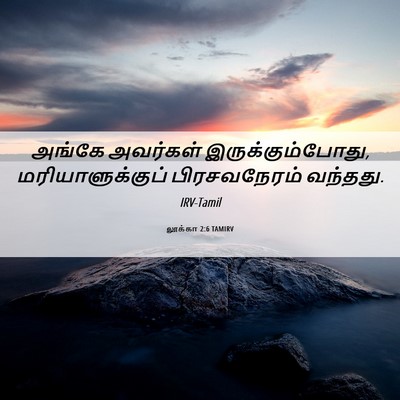 Picture 06 - லூக்கா 2:6 TAMIRV - அங்கே அவர்கள் - Bible Verse Picture