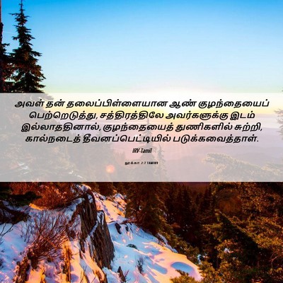 Picture 06 - லூக்கா 2:7 TAMIRV - அவள் தன் - Bible Verse Picture