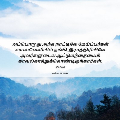 Picture 06 - லூக்கா 2:8 TAMIRV - அப்பொழுது அந்த - Bible Verse Picture