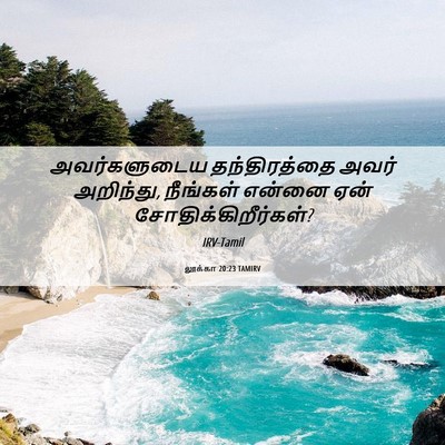 Picture 06 - லூக்கா 20:23 TAMIRV - அவர்களுடைய - Bible Verse Picture