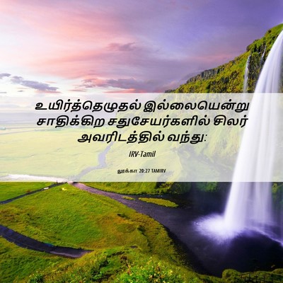 Picture 06 - லூக்கா 20:27 TAMIRV - உயிர்த்தெழுதல் - Bible Verse Picture