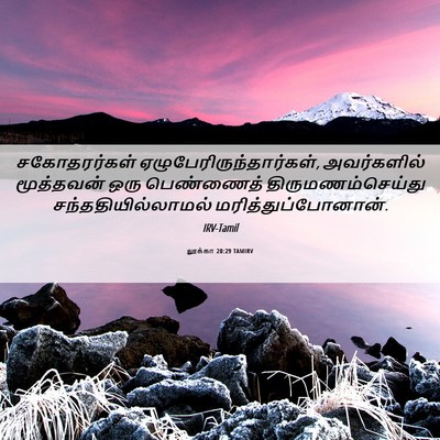 Picture 06 - லூக்கா 20:29 TAMIRV - சகோதரர்கள் - Bible Verse Picture