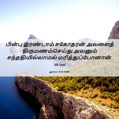 Picture 06 - லூக்கா 20:30 TAMIRV - பின்பு இரண்டாம் - Bible Verse Picture