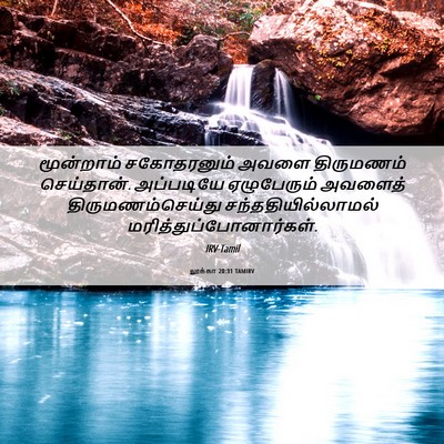 Picture 06 - லூக்கா 20:31 TAMIRV - மூன்றாம் - Bible Verse Picture