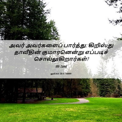 Picture 06 - லூக்கா 20:41 TAMIRV - அவர் அவர்களைப் - Bible Verse Picture