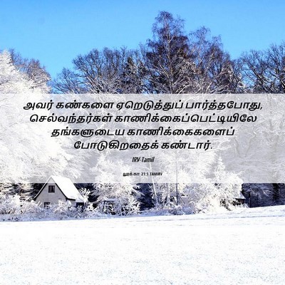 Picture 06 - லூக்கா 21:1 TAMIRV - அவர் கண்களை - Bible Verse Picture