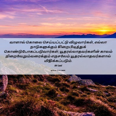 Picture 06 - லூக்கா 21:24 TAMIRV - வாளால் கொலை - Bible Verse Picture