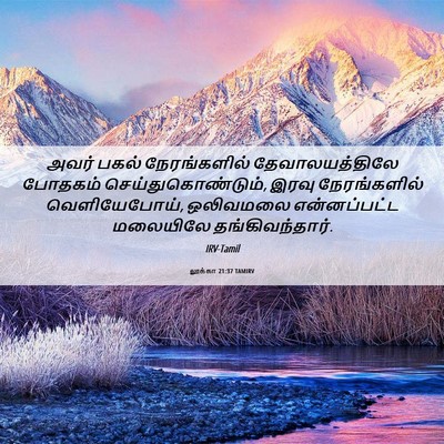 Picture 06 - லூக்கா 21:37 TAMIRV - அவர் பகல் - Bible Verse Picture
