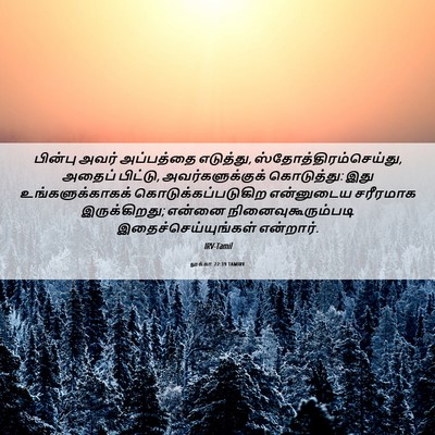 Picture 06 - லூக்கா 22:19 TAMIRV - பின்பு அவர் - Bible Verse Picture