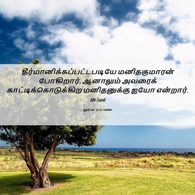 Picture 06 - லூக்கா 22:22 TAMIRV -  - Bible Verse Picture