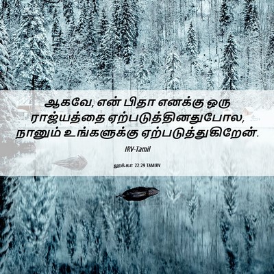 Picture 06 - லூக்கா 22:29 TAMIRV - ஆகவே, என் பிதா - Bible Verse Picture