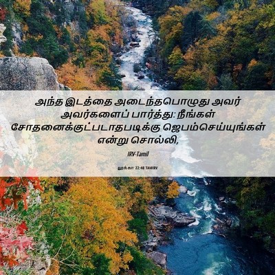 Picture 06 - லூக்கா 22:40 TAMIRV - அந்த இடத்தை - Bible Verse Picture