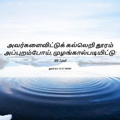 Picture 06 - லூக்கா 22:41 TAMIRV - அவர்களைவிட்டுக் - Bible Verse Picture