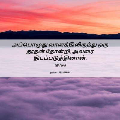 Picture 06 - லூக்கா 22:43 TAMIRV - அப்பொழுது - Bible Verse Picture