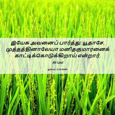 Picture 06 - லூக்கா 22:48 TAMIRV - இயேசு அவனைப் - Bible Verse Picture