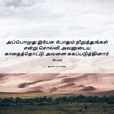 Picture 06 - லூக்கா 22:51 TAMIRV - அப்பொழுது இயேசு: - Bible Verse Picture