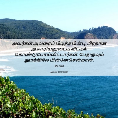 Picture 06 - லூக்கா 22:54 TAMIRV - அவர்கள் அவரைப் - Bible Verse Picture