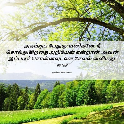 Picture 06 - லூக்கா 22:60 TAMIRV - அதற்குப் பேதுரு: - Bible Verse Picture