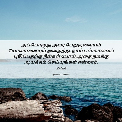 Picture 06 - லூக்கா 22:8 TAMIRV - அப்பொழுது அவர் - Bible Verse Picture