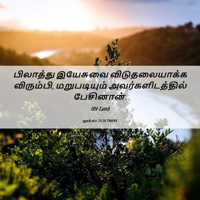 Picture 06 - லூக்கா 23:20 TAMIRV - பிலாத்து இயேசுவை - Bible Verse Picture