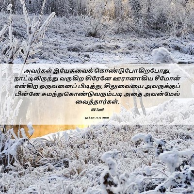 Picture 06 - லூக்கா 23:26 TAMIRV - அவர்கள் இயேசுவைக் - Bible Verse Picture