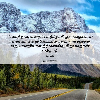 Picture 06 - லூக்கா 23:3 TAMIRV - பிலாத்து அவரைப் - Bible Verse Picture
