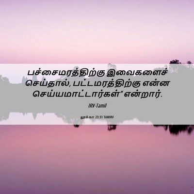 Picture 06 - லூக்கா 23:31 TAMIRV - பச்சைமரத்திற்கு - Bible Verse Picture